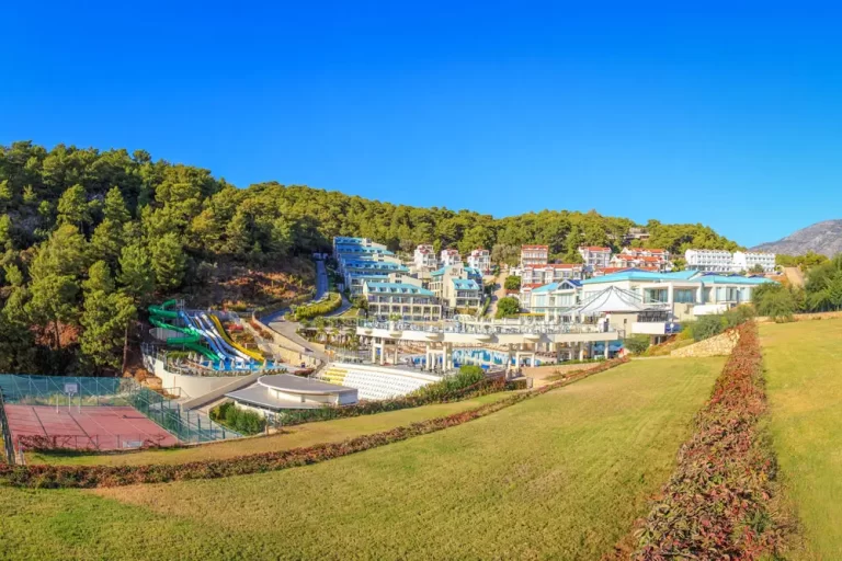Orka Sunlife